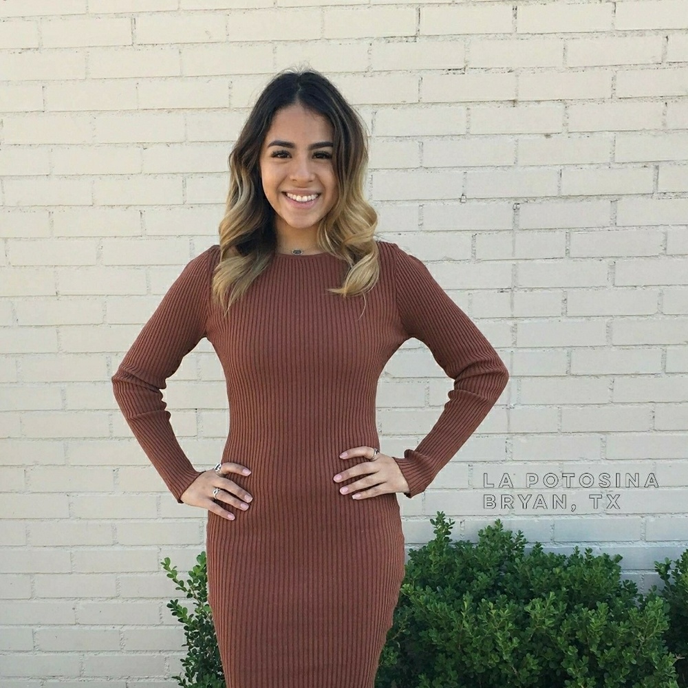 NWT Rustic Brown Long Sleeve Dress